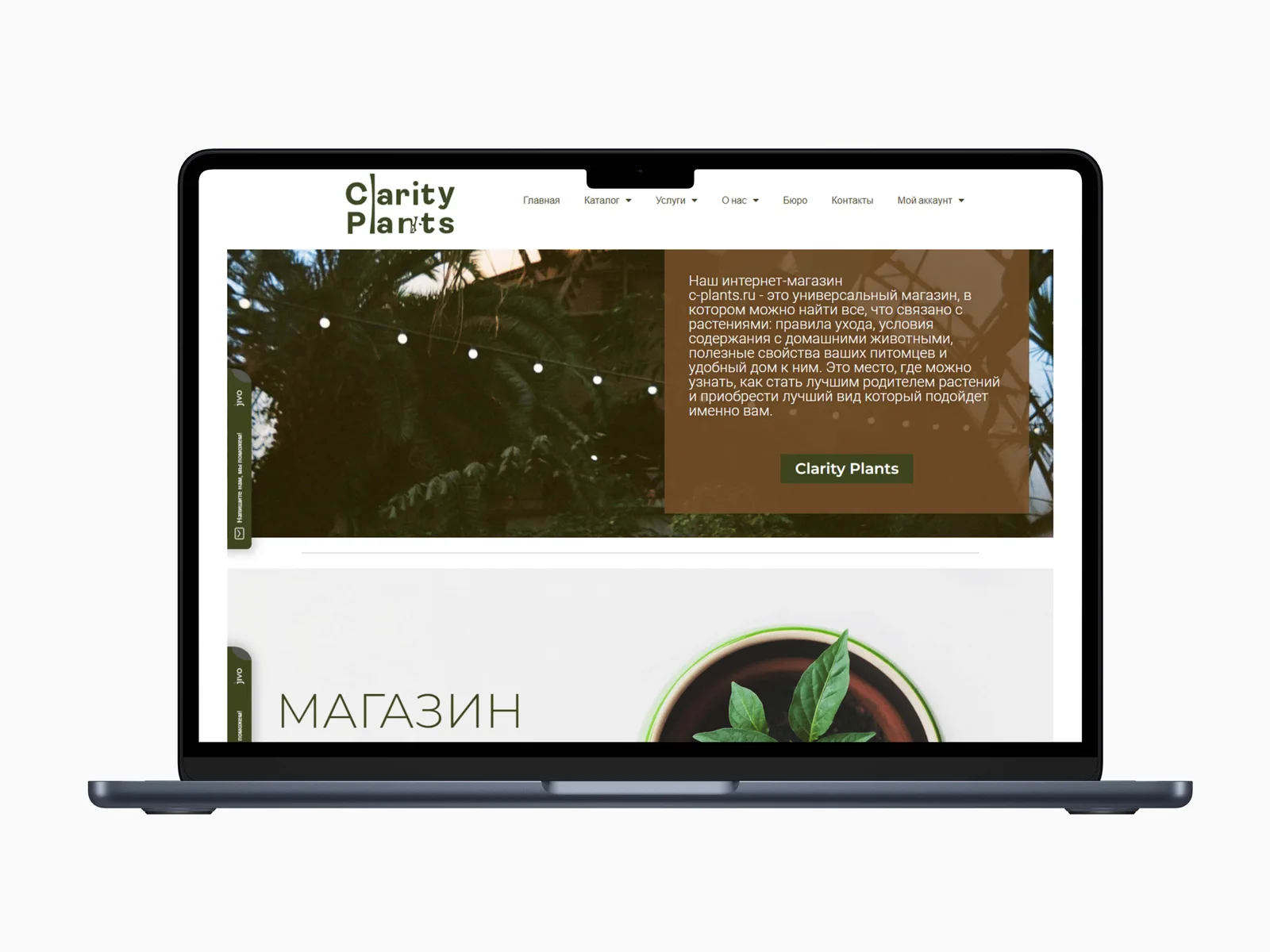 Clarity Plants
