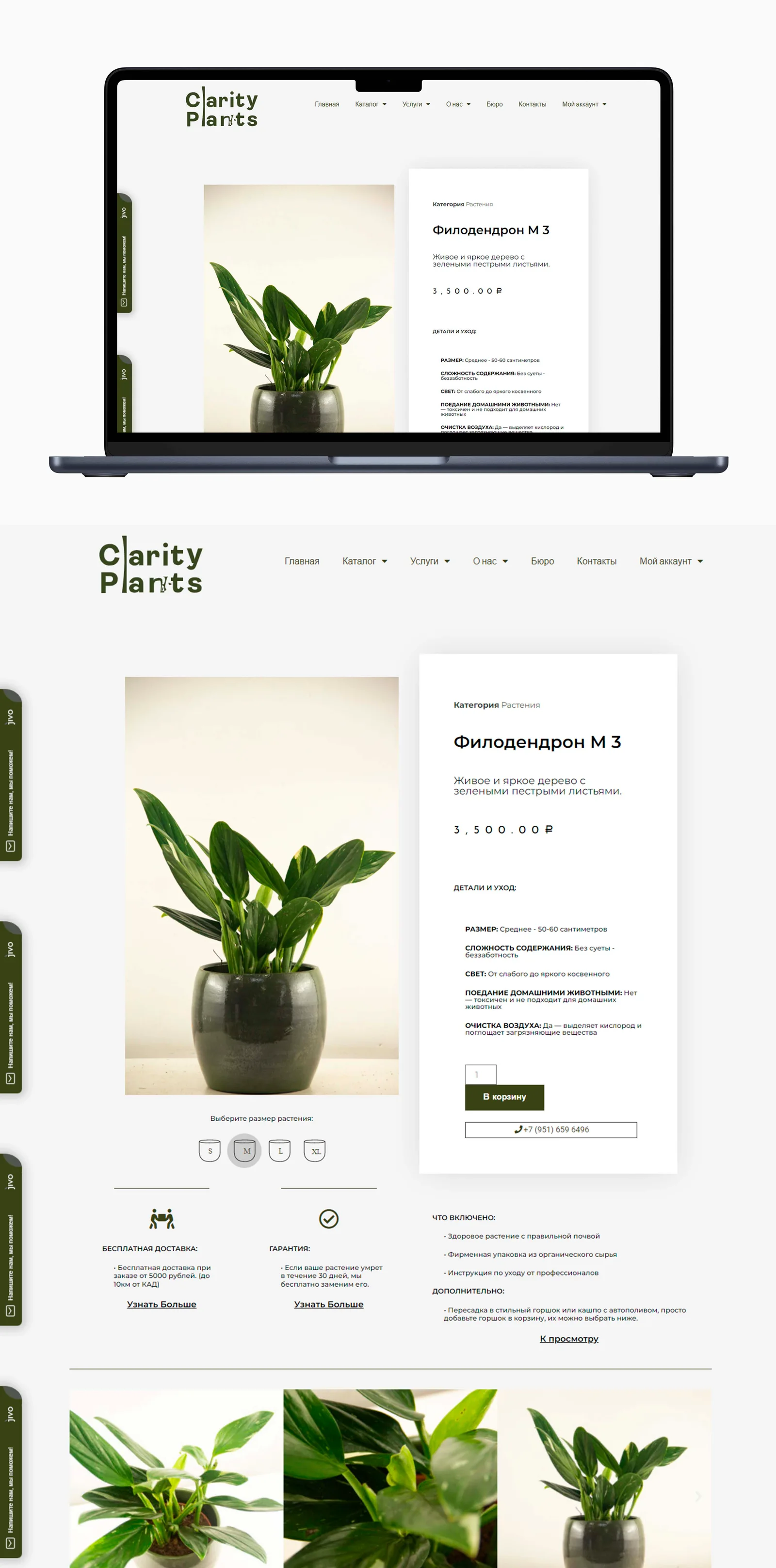 Plant product page: size, light, care and information for pet owners.