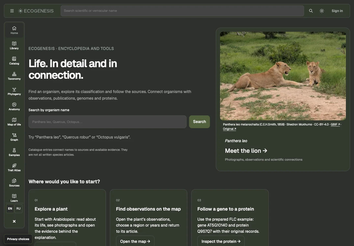 An AI workspace for business, legal sources and documents