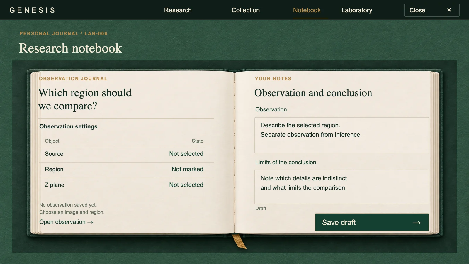 Research notebook: observations and interpretations.